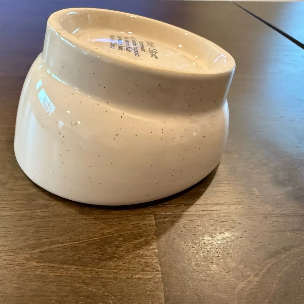 Ceramic dog bowl